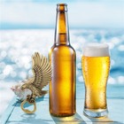 1pc Eagle Shaped Bottle Opener Vintage Heavy Duty Metal Bar Tool For Beer Lover