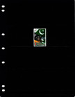  2 00 Est  Scott Value - 2025 Pakistan Flag Kashmir Solidarity Day Cv Mnh Nh Umm