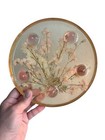 Vintage Lucite Footed Trivet W  Dried Flowers Mid Century Modern Decor 7 75  Euc