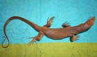 Desert Monitor Lizard Replica - Young Brown - Realistic Pvc