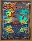 Primus Ridgefield Poster Foil Pete Schaw Wa Tour Missoula Zoltron Emek Spusta