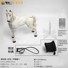 Nt-100-c-wh  Nottaa White Horse  calm Ver   1 12 Scale Figure  with Bonus 