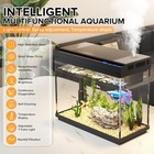Fish Tank  2 4 Gallon Aquarium  Tank Starter Kit Gallon  Black 