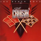 The Beach Boys Still Cruisin  Banner 3x3 Ft Fabric Poster Flag Album Cover Art