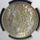 1887 Morgan Silver Dollar  Ngc Ms-64 Toned  2632462 