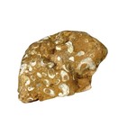 1 Lb Texas Fossil Oyster Shells Bivalves Mortality Death Plate Slab Rough Rock