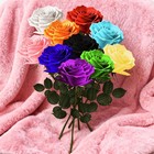 Single Forever Roses In A Box preserved Flowers For Delivery preserved Rose Gift