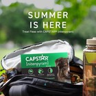 2 Pack Capstar Fast-acting Oral Treatment For Large Dogs Over 25 Lbs 6 Tabs
