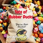 Bag Of Assorted Rubber Ducks From Rubber Duckery   100 Ducks For Duck Duck Jeep