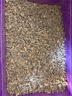 100grams Gebel Kami Iron Meteorite Specimen Factory Wholesale