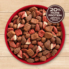 Dry Dog Food Triple Steak Flavor High Protein  For All Lifestages  40 Lb Bag