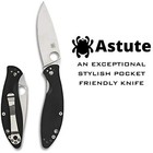 Spyderco Astute Value Folding Knife With 3 02  Stainless Steel Blade  C252gp
