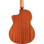 Cordoba C5ce Classical Cutaway Acousticelectric Guitar Natural