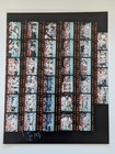 Bengals Vs Houston Oilers - Nfl Football - Type 1 Contact Sheet Photo 1995