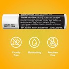 Chapstick Lip Balm  Classic Original Lip Moisturizer For Dry Lips  12 Pack 