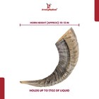 Natural Ram Horn Drinking Horn 10   12 Inches   Polished Rustic D  cor Novelty Gift
