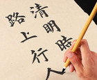 Chinese Calligraphy Brush Set Writing Drawing Ink Brushes  Japanese Kanji Sumi B