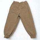 Bluey Toddler Boys Girls Tan Brown Cotton Jogger Sweatpants Size 2t