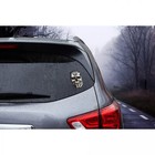 The Terminator Car Decal Silver