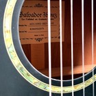 Ibanez Salvador Aeg10ne-bkf Acoustic Electric Classical Guitar Black Case China