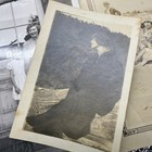Antique Photos Huge Lot 50  Early 1900s Beach Family Horse Little Kids Lot B