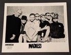 Madness - Lot Of 2 Professional Black   White 8x10 Band Promo Press Photos