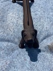 Antique 1880   s 21    Cast Iron Dachshund Boot Scraper   Weiner Dog Door Stop