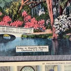 Charleston South Carolina Sc Vintage Postcards Magnolia Gardens St  Philips Gate