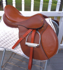17   Narrow Tree Toklat Passport English A p Saddle W New Leathers    Irons