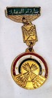Pair Of Gulf War Era Iraqi Army Medals  3 3 8 In Saddam Hussein