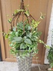 New Grandin Road Lush Leaves Urn Filler With Cage - Free Shipping