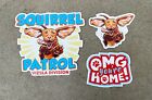 Happy Vizsla Dog Decals - Original Artwork On Quality Weatherproof Sticker Pack