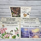 Sue Scheewe Presents Paint Pattern Book Lot Of 9