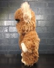 Vintage 1983 Kenner Star Wars Stuffed Plush Wicket The Ewok  no Hood 