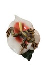Rare And Original Frog On Anthurium Flower Figurine Statue A Must Have  
