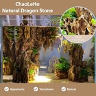 Aquarium Rocks Dragon Stone Natural Hardscape Stone For Aquariums  Fish Tanks
