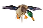 Avian-x Powerflight Mallard Spinning Wing Duck Decoy Motion Lifesize Dual Mode