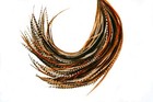  wholesale  50 Pcs Natural Long 9-14  Feather Extension  Whiting Farms   Diy Kit