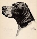 Vintage Pointer Print 1945 Gladys Cook Champion Hie On Coronation Pointer 5720e