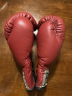 Original Everlast Usa Pro Fight Boxing Gloves 8oz 1008  winning Reyes 