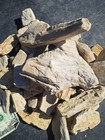 Awesome 6  Pound  Lot Of Texas Petrified Fossil Wood Weathered Agatized Pieces 