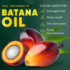 Raw Batana Oil For Hair Growth     Hair   Scalp Oil For Thickness   Shine     Men   