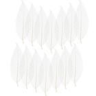  100 Pcs White Skeleton Leaves Scrapbook Magnolia Leaf Specimen