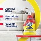 Resolve Urine Destroyer Spray     Pet Stain 32 Fl Oz  pack Of 1   Solid Black