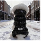 Dog Winter Warm Jacket Coat Pet Cat Hooded Jumpsuit Snowsuit Size Large