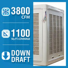 Swamp Evaporative Cooler Whole Home Fan 3800 Cfm Commercial Down-draft Roof New