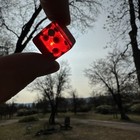 Bakelite 3 4  Cherry Red Dice Pairs 0f 2 Translucent Tested Combined Shipping