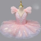Stage Costumes Ballet Dress Kids Ballet Tutu Girls Dress Dance Wear Performance