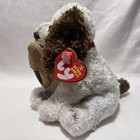Ty Beanie Baby Pal The Dog  holding Slipper   internet Exclusive  Vintage Plush