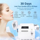 2 Handles Freezing Cool Therapy Double Chin Removal Body Massage Machine Salon